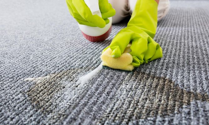 cómo limpiar alfombra con amoniaco