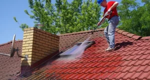 Limpieza de tejados